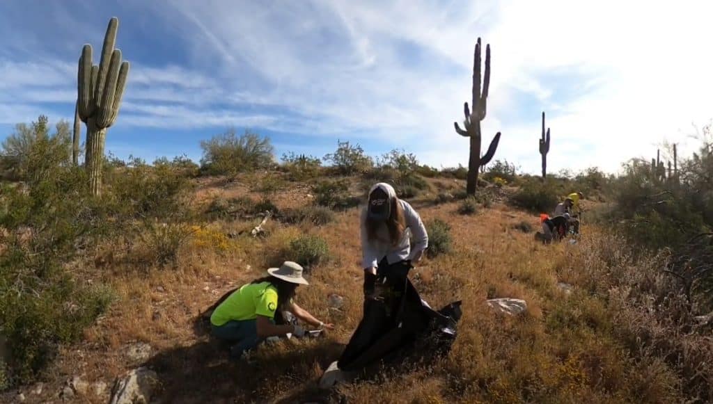 Volunteers removing invasive plants
