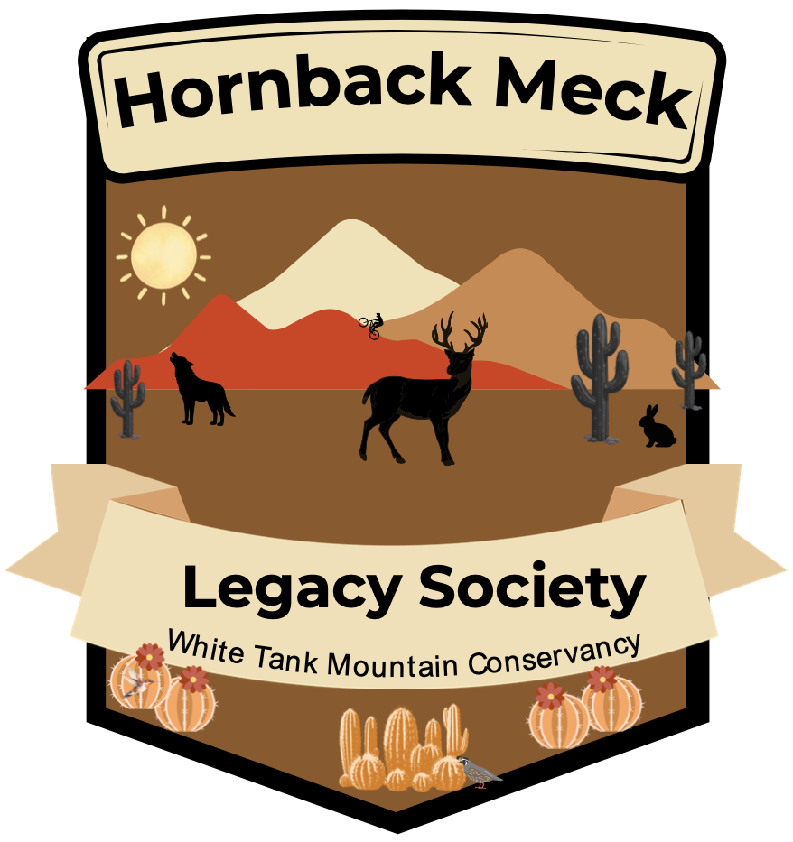 hornback_meck.png