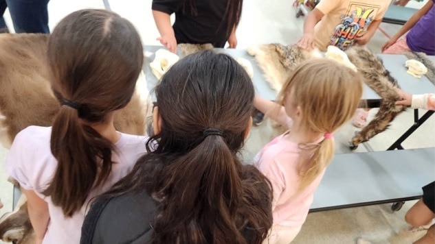 School-age students gathered around an animal education display.