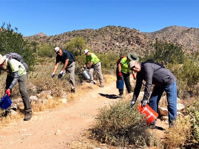 Volunteers collecting seeds along a desert trail.