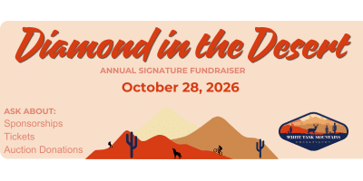 Diamond in the Desert annual signature fundraiser, October 28, 2026